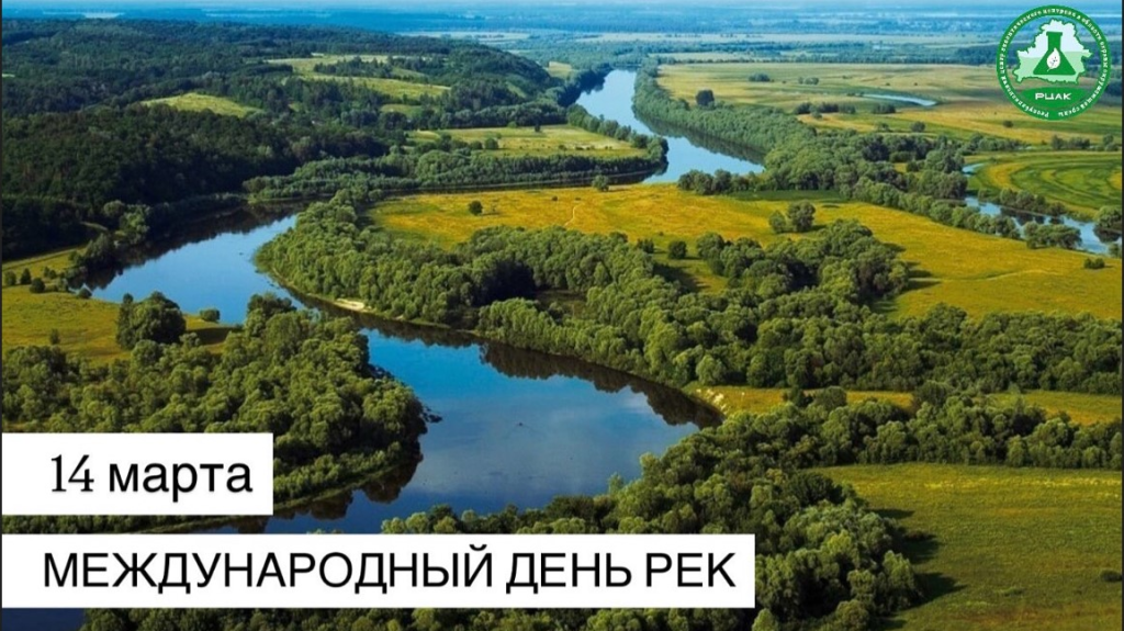 л.png