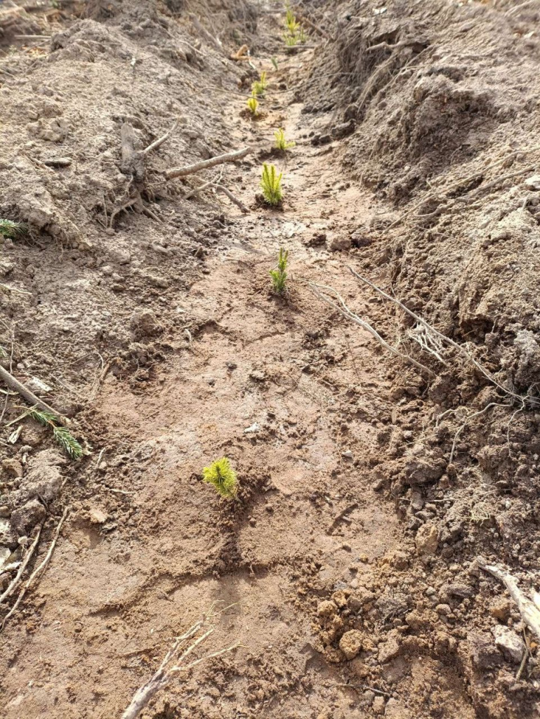 IMG_6118.jpeg