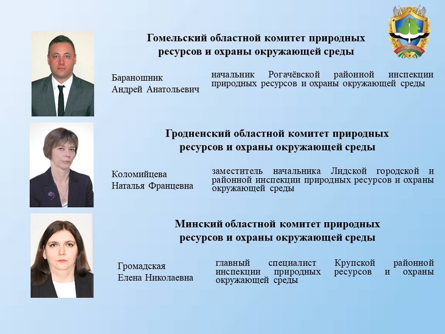 дп2.jpg